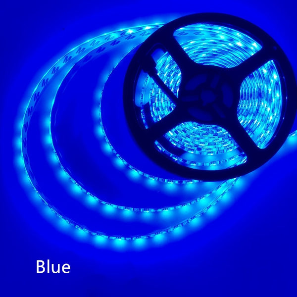 5M / Roll led strip 2835 Luminous Flux