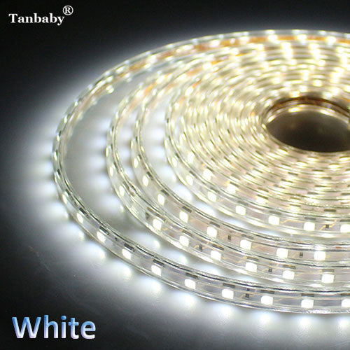220V LED Strip Light 5050 LED Ribbon Waterproof