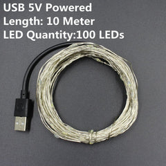 1/2/5/10M 10-100 LEDs Christmas Garland Copper Wire LED String Lamp