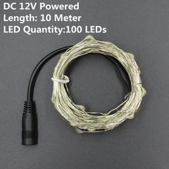 1/2/5/10M 10-100 LEDs Christmas Garland Copper Wire LED String Lamp