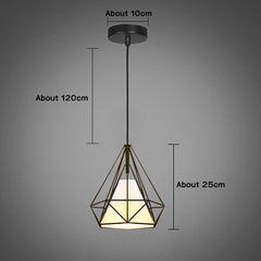 Modern Pendant Light Black Iron Hanging Cage
