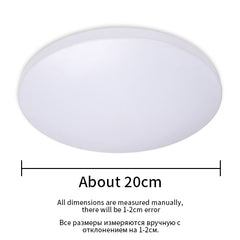 Modern LED Ceiling Light Lighting Fixture Lamp