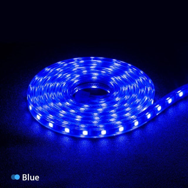Goodland LED Strip Light AC 220V SMD 5050 Flexible LED