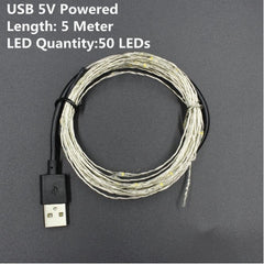 1/2/5/10M Copper Wire LED String Lights Holiday lighting
