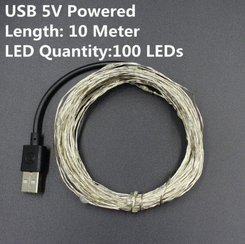 1/2/5/10M Copper Wire LED String Lights Holiday lighting