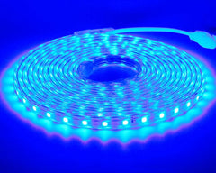 SMD 5050 AC 220V LED Strip White Outdoor Waterproof